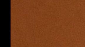 Beyoncé, Karol G, Maluma y Taylor Swift se hacen sentir en el Grammy 2024.