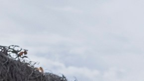 Luis Hurtado, y Franklin Pérez limpian un callejón en Panorama City.