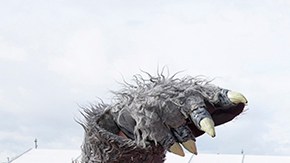 A Kansas City Chiefs fan