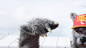 A Kansas City Chiefs fan