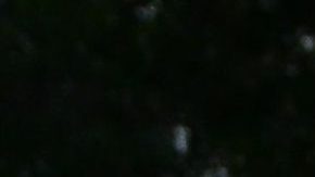 Chiquis Rivera y Emilio Sánchez en los Billboard a la Música Latina.