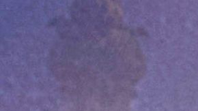 Érika Buenfil | Foto: Mezcalent