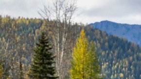 Ford presenta su nuevo modelo