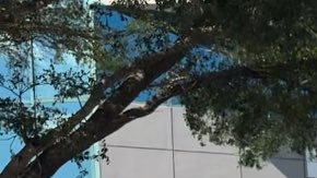 Francotirador del equipo SWAT en Florida mata a secuestrador de un banco armado con un cuchillo