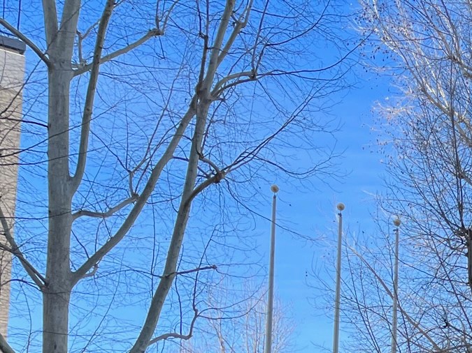 Michael Goldstein, abogado de Julio César Chávez Jr. al salir de la corte el 15 de febrero.