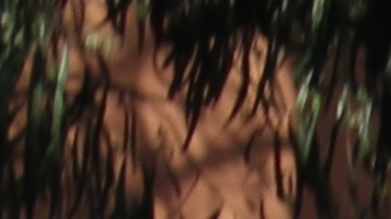 Cientos de conserjes salen a marchar a las calles de LA.