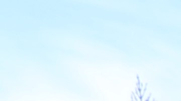 El Senador Alex Padillo presentó la ley 
Vivienda para Todos".