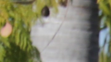 Estudiantes de colegios comunitarios apoyan el proyecto AB 2093.