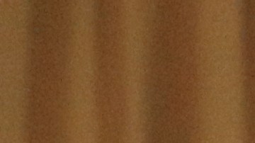 Integrantes de la comunidad LGBTQ y de la muxendad de Oaxaca, participaron en una mesa redonda.