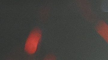 Gilberto 'Zurdo' Ramírez