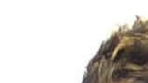 José Antonio Ibarra está detenido por el asesinato de Laken Hope Riley.