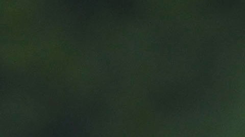 Ciudad de México a 9 de Abril de 2021. Maribel Domínguez, directora técnica (Mex) ,durante el partido de preparación entre la selección nacional femenil Sub 20 de México y la selección Sub 20 femenil de Brasil, realizado en las instalaciones del Centro de alto rendimiento (CAR). Foto/ Imago7/ Etzel Espinosa