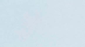 El ex directivo de Cruz Azul, Óscar Pérez, aquí en la imagen acompañado por el jerarca de la 'Máquina' Víctor Velázquez detalló que no era la primera vez que se buscaron los servicios de Carlos Vela. Foto: Rafael Vadillo