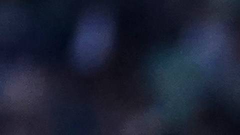 El internacional mexicano Carlos Vela fue buscado con todo por el Cruz Azul, pero al final desechó la oferta. Foto: Rafael Vadillo