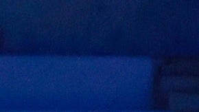 Aficionados de Rayados de Monterrey.