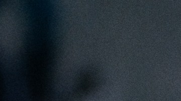 Los Pumas de la UNAM han tenido un inicio de torneo irregular.