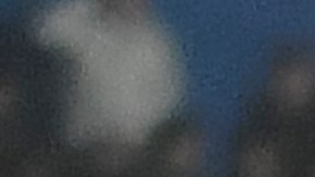 El Pachuca tiene 4 victorias en 5 partidos.