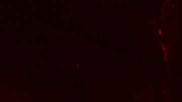 El técnico de los Xolos de Tijuana, Miguel Herrera le dijo a La Opinión, que se magnifica todo lo que hace, pero que nunca le faltaría al respeto a los aficionados de Xolos.