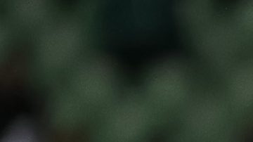 Los Tigres de la UANL buscarán definir en casa ante Whitecaps.