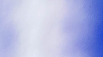 Siboldi ya tiene una Liga MX con los Tigres de la UANL.