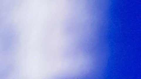 Siboldi ya tiene una Liga MX con los Tigres de la UANL.