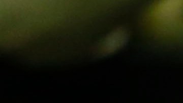 El presidente ejecutivo del Grupo Televisa y propietario del equipo América confirmó que jugarán el resto del torneo Clausura 2024 en el Estadio Azteca. Foto: Ricardo Aldayturriaga.