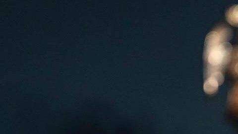 Joe Biden, presidente de la nación