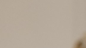 Joe Biden, presidente de la nación