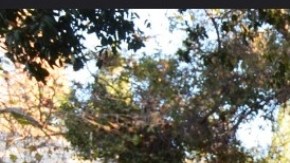 Foto de la NASA en Pasadena.