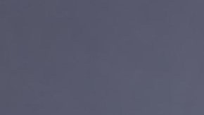 Robert Francis Kennedy Jr., candidato presidencial independiente