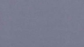 Robert Francis Kennedy Jr., candidato presidencial independiente