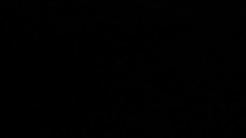 Ron DeSantis, gobernador de Florida