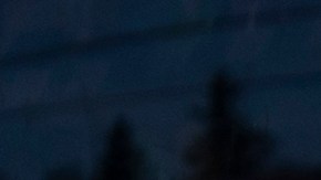 Cupones de alimentos SNAP