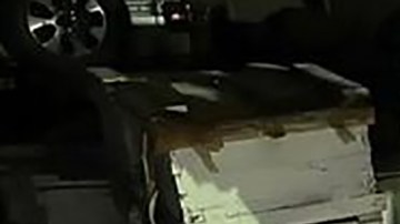 Decomiso de fentanilo