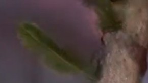 Accidente aéreo en Florida