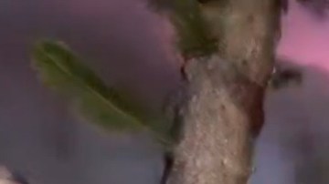 Accidente aéreo en Florida