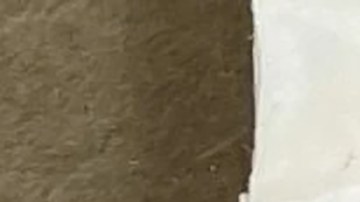 Decomiso de fentanilo