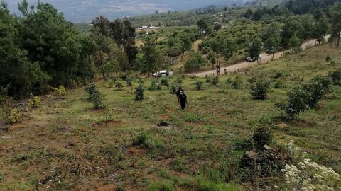 Narcofosa en Michoacán