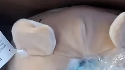 Decomiso de fentanilo