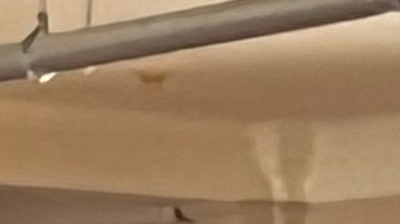 USCIS reporta que recibió más de 10.9 millones de casos.