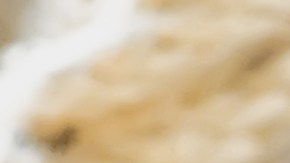 amuletos para los signos