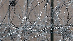 El fiscal de Texas presenta una demanda contra una ONG católica por "tráfico de personas"