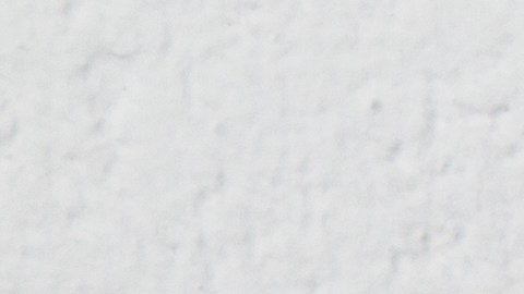 año bisiesto predicciones