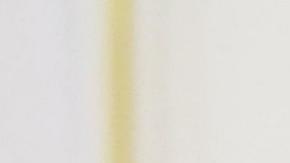 Putin cree que usar el dólar como arma política ha sido "enorme error estratégico" de EE.UU.