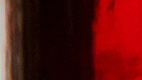 El colibrí guarda un mensaje espiritual.