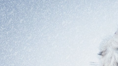 FDA aprueba medicamento para tratar el congelamiento grave