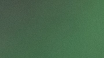 Perú declara emergencia sanitaria por dengue en casi todas sus regiones