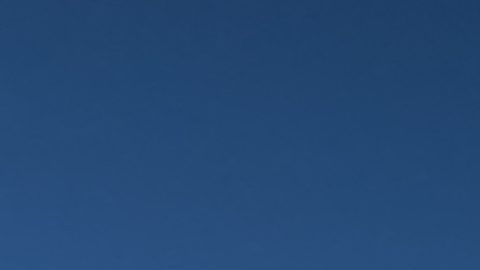 signos que no rechazan desafíos