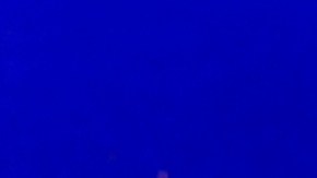 Crisis de opioides: 'Tranq' está afectando a muchas personas y luchan para revertir las sobredosis