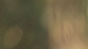 Cuando las personas se gustan, podría reflejarse en los sueños.